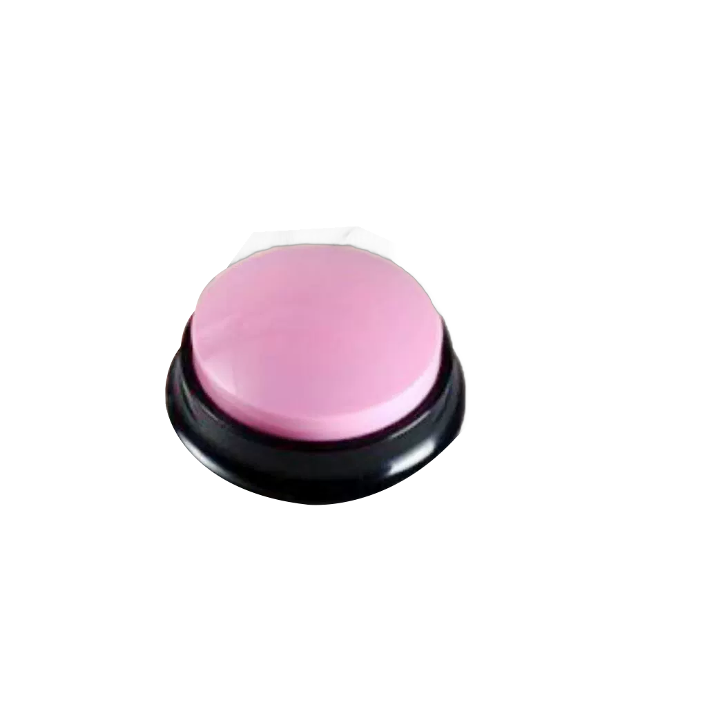 Voice Recording Button for Learning and Training - Image 4