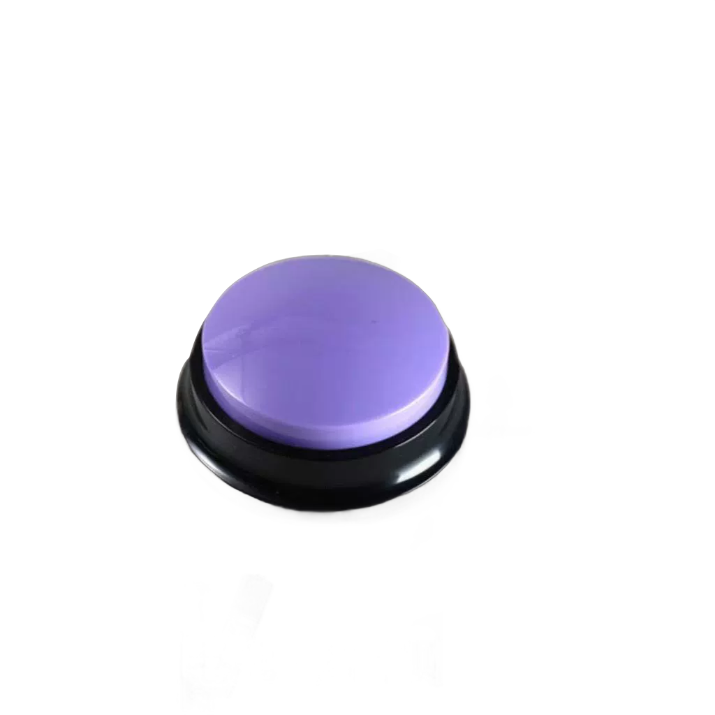 Voice Recording Button for Learning and Training - Image 5